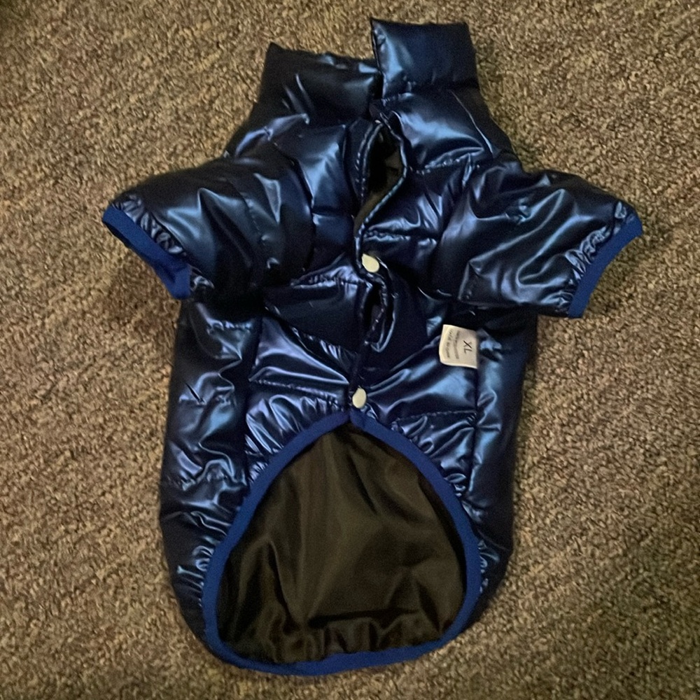 Dog puffer jacket, never worn
